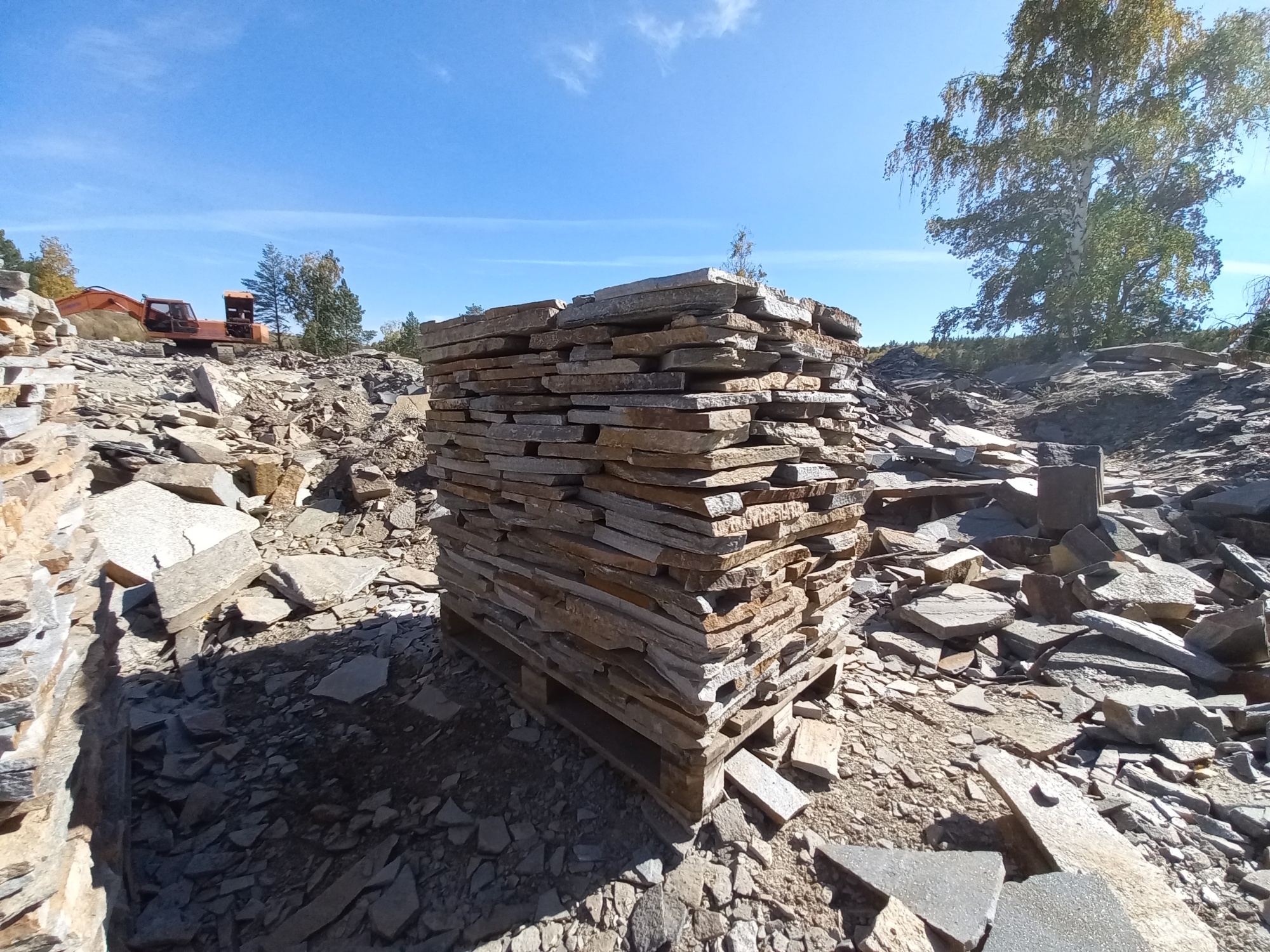 Плитняк златолит серебристый для мощения на бетон купить в Заводоуковске