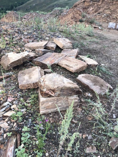 Плитняк кора дерева 50-100мм для пошаговых дорожек купить в Заводоуковске